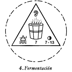 mezcal cupreata