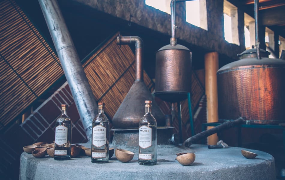 proceso de elaboracion del mezcal