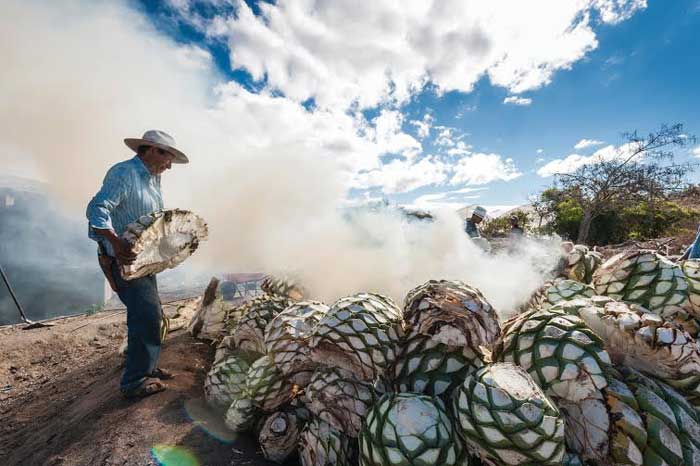 mezcal con gusano