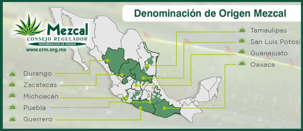 consejo regulador del mezcal