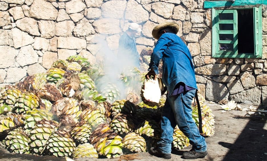 consejo regulador del mezcal bolsa de trabajo