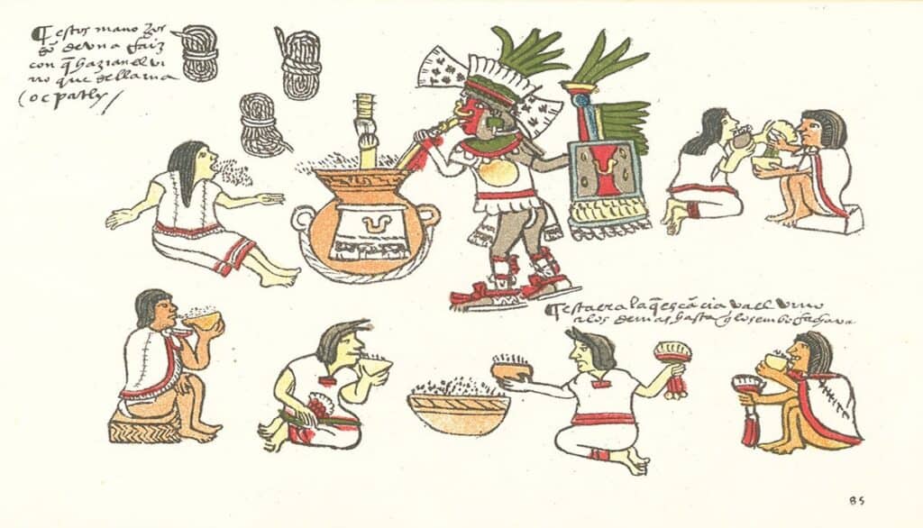 mezcal beneficios