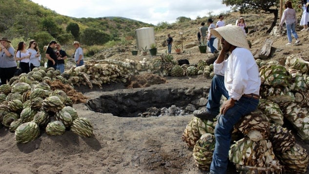 tequila mezcal