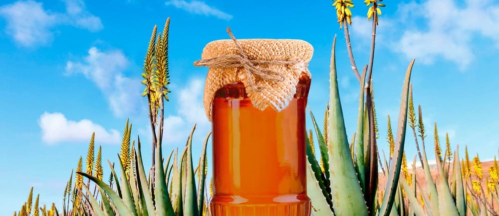 inulina de agave