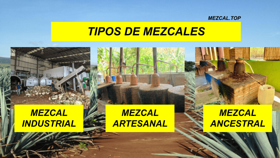 mezcal tipos