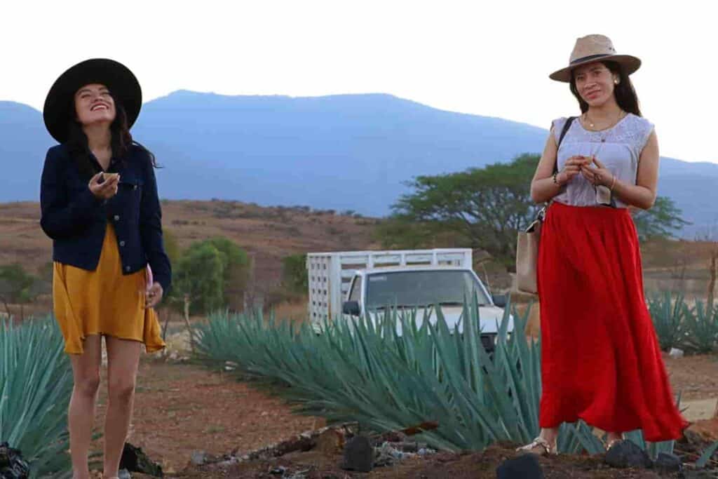 difference between mezcal and tequila