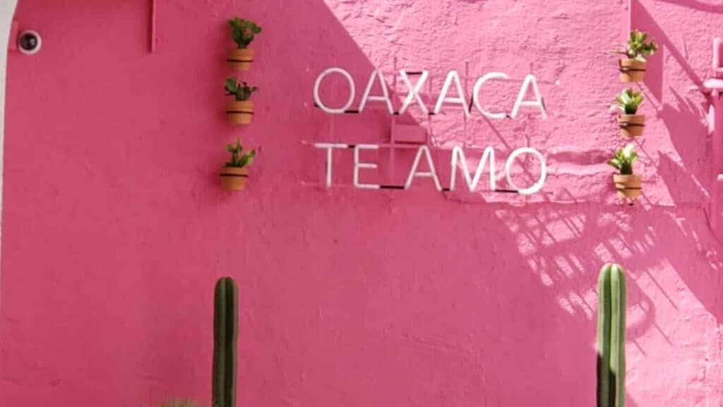 how to drink mezcal