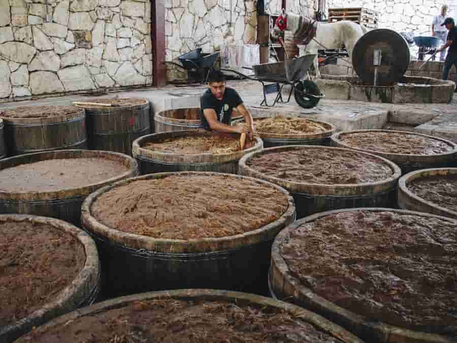best mezcal