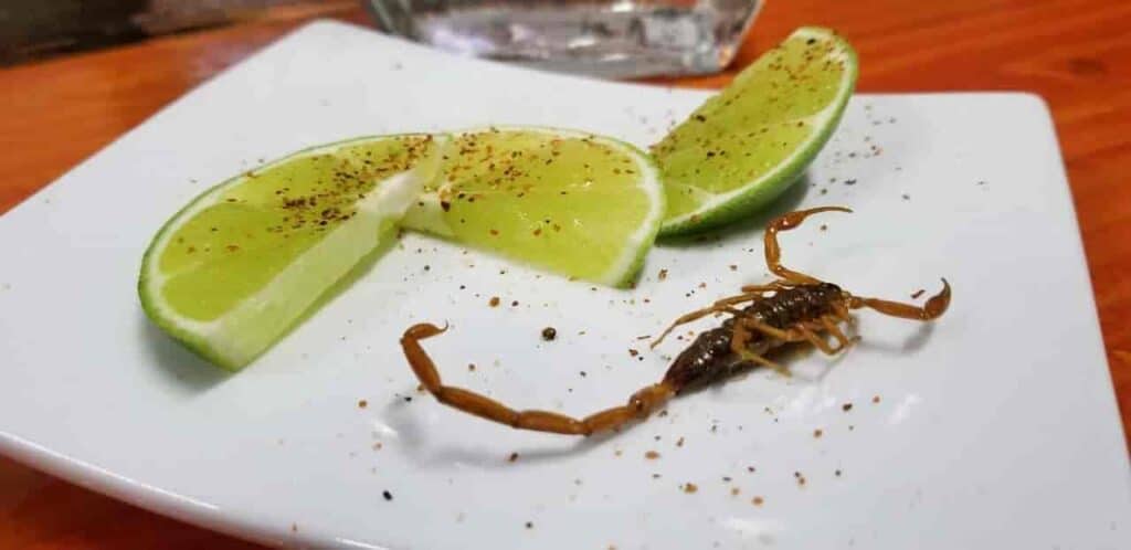 mezcal con alacran