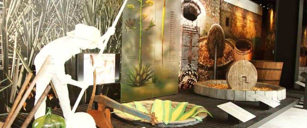 museo del tequila y el mezcal